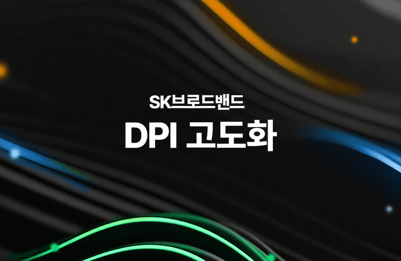 SK브로드밴드 트래픽 관리시스템(DPI) 고도화