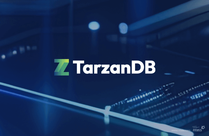 NTELS Completes Patent Application for In-House Database ‘TarzanDB’ - Enhancing 